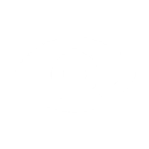 Icon Visi